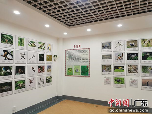 乐昌首家野生鸟类展览馆开放，设计建筑面积约170多平米